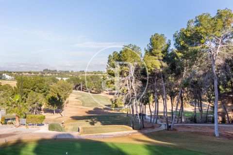 Terra a Chiva, Valencia, Chiva - € 200.000 | Ref: VV2503068 - foto 26