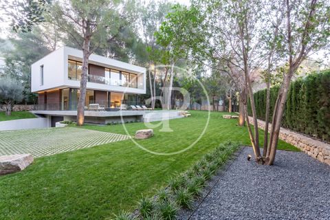 Terra a Chiva, Valencia, Chiva - € 200.000 | Ref: VV2503068 - foto 4