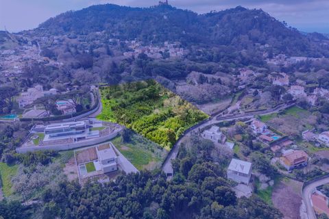 Helårsgrund i Sintra, Lisbon, Sintra - € 1.590.000 | Ref: DH705 - foto 13