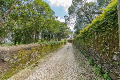 Helårsgrund i Sintra, Lisbon, Sintra - € 1.590.000 | Ref: DH705 - foto 14