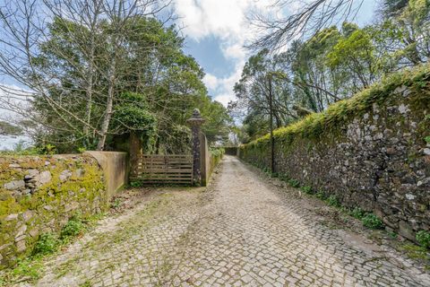 Helårsgrund i Sintra, Lisbon, Sintra - € 1.590.000 | Ref: DH705 - foto 15