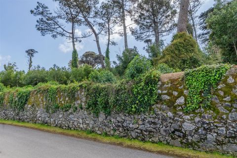 Helårsgrund i Sintra, Lisbon, Sintra - € 1.590.000 | Ref: DH705 - foto 16