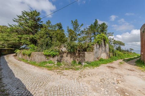 Helårsgrund i Sintra, Lisbon, Sintra - € 1.590.000 | Ref: DH705 - foto 20