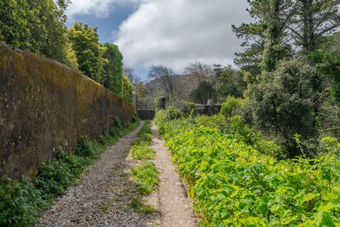 Helårsgrund i Sintra, Lisbon, Sintra - € 1.590.000 | Ref: DH705 - foto 21