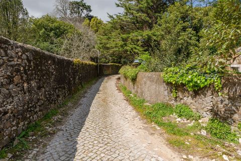 Helårsgrund i Sintra, Lisbon, Sintra - € 1.590.000 | Ref: DH705 - foto 22