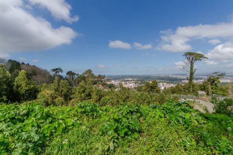 Helårsgrund i Sintra, Lisbon, Sintra - € 1.590.000 | Ref: DH705 - foto 23