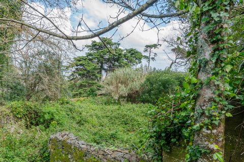 Helårsgrund i Sintra, Lisbon, Sintra - € 1.590.000 | Ref: DH705 - foto 24