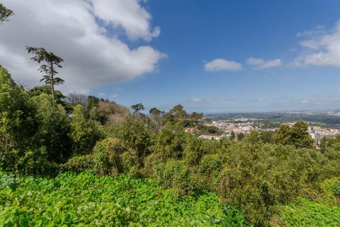 Helårsgrund i Sintra, Lisbon, Sintra - € 1.590.000 | Ref: DH705 - foto 25
