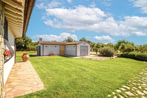 Villa i Capalbio, Grosseto, Capalbio - € 2.000.000 | Ref: R09-479202 - foto 43