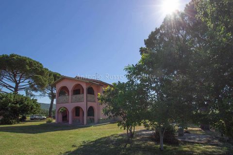 Farm hus i Roccastrada, Grosseto, Roccastrada - € 490.000 | Ref: D21-479252 - foto 6