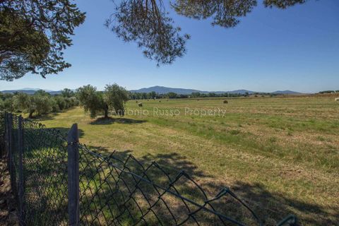 Farm hus i Roccastrada, Grosseto, Roccastrada - € 490.000 | Ref: D21-479252 - foto 7