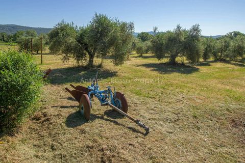 Farm hus i Roccastrada, Grosseto, Roccastrada - € 490.000 | Ref: D21-479252 - foto 8