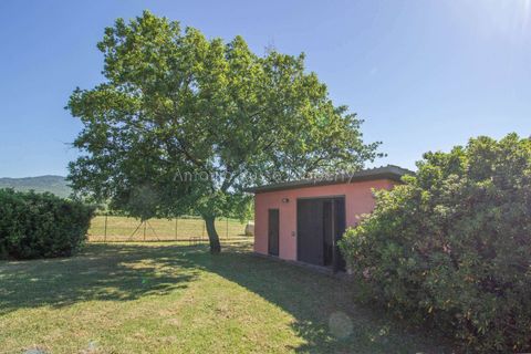 Farm hus i Roccastrada, Grosseto, Roccastrada - € 490.000 | Ref: D21-479252 - foto 9