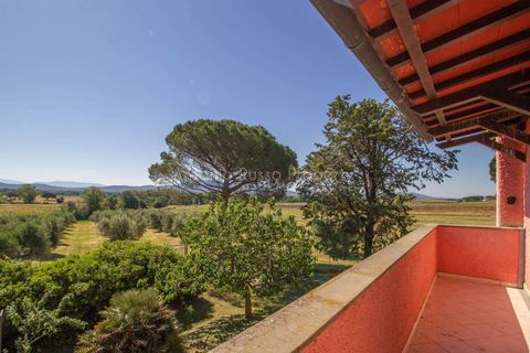 Farm hus i Roccastrada, Grosseto, Roccastrada - € 490.000 | Ref: D21-479252 - foto 30