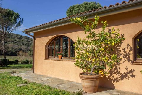 Villa i Roccastrada, Grosseto, Roccastrada - € 1.040.000 | Ref: D63-479568 - foto 10