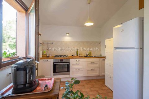 Villa i Roccastrada, Grosseto, Roccastrada - € 1.040.000 | Ref: D63-479568 - foto 31