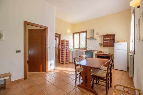 Villa i Roccastrada, Grosseto, Roccastrada - € 1.040.000 | Ref: D63-479568 - foto 41