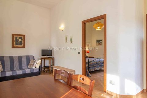Villa i Roccastrada, Grosseto, Roccastrada - € 1.040.000 | Ref: D63-479568 - foto 42