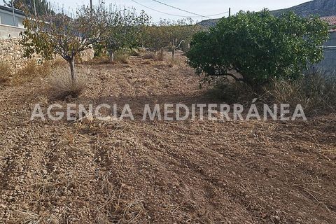 Tomt i Chulilla, Valencia, Chulilla - € 57 900 | Ref: 7774/5940 - foto 5