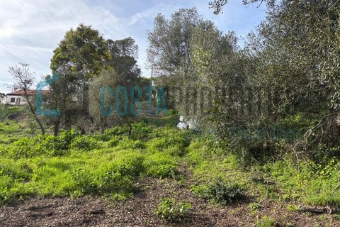 Tomt i Rogil, Faro, Rogil - € 80 000 | Ref: CP-T2506 - foto 3