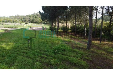 Tomt i Rogil, Faro, Rogil - € 80 000 | Ref: CP-T2506 - foto 5