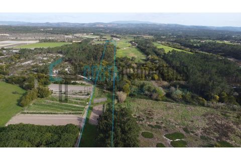 Tomt i Rogil, Faro, Rogil - € 80 000 | Ref: CP-T2506 - foto 6