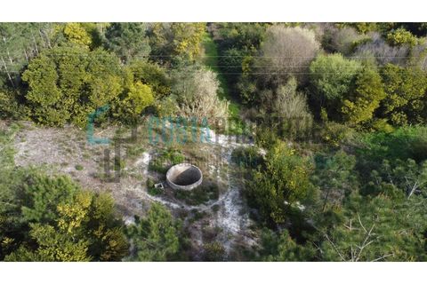 Tomt i Rogil, Faro, Rogil - € 80 000 | Ref: CP-T2506 - foto 7