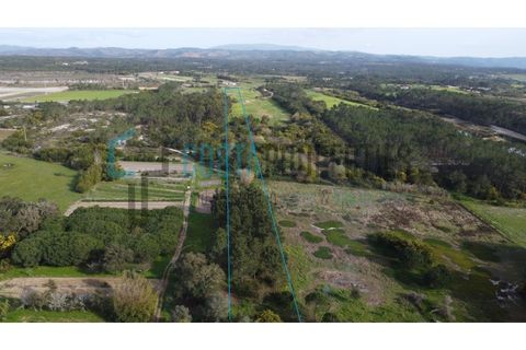 Tomt i Rogil, Faro, Rogil - € 80 000 | Ref: CP-T2506 - foto 9