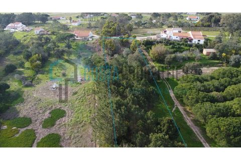 Tomt i Rogil, Faro, Rogil - € 80 000 | Ref: CP-T2506 - foto 12