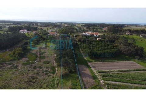 Tomt i Rogil, Faro, Rogil - € 80 000 | Ref: CP-T2506 - foto 14