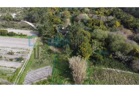 Tomt i Rogil, Faro, Rogil - € 80 000 | Ref: CP-T2506 - foto 15