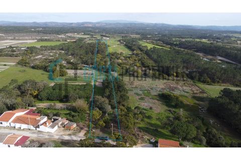 Tomt i Rogil, Faro, Rogil - € 80 000 | Ref: CP-T2506 - foto 18