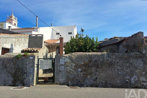 Helårsgrund i Mafra, Lisbon, Mafra - € 170.000 | Ref: 138685 - foto 10