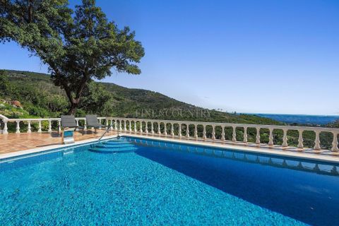 Villa i Monchique, Faro, Monchique - € 665.000 | Ref: FC1013VC-BQ - foto 34