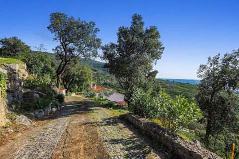Villa i Monchique, Faro, Monchique - € 665.000 | Ref: FC1013VC-BQ - foto 43
