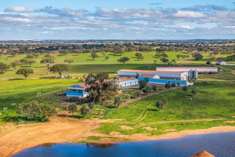 Farm hus i Ourique, Beja, Ourique - € 7.850.000 | Ref: CN10492 - foto 2