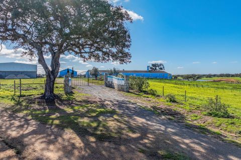 Farm hus i Ourique, Beja, Ourique - € 7.850.000 | Ref: CN10492 - foto 9
