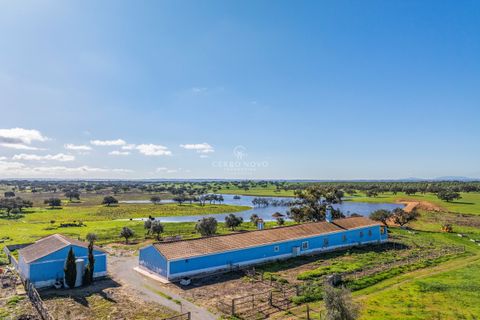 Farm hus i Ourique, Beja, Ourique - € 7.850.000 | Ref: CN10492 - foto 10