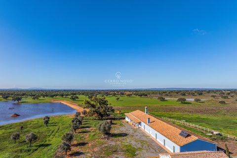 Farm hus i Ourique, Beja, Ourique - € 7.850.000 | Ref: CN10492 - foto 13