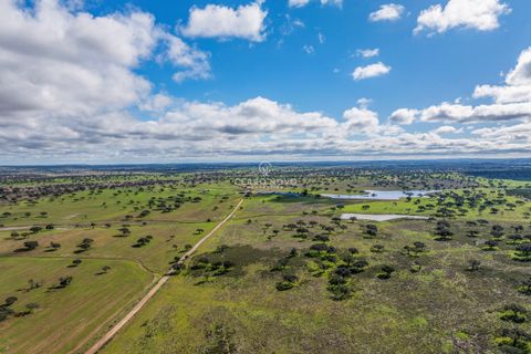 Farm hus i Ourique, Beja, Ourique - € 7.850.000 | Ref: CN10492 - foto 22
