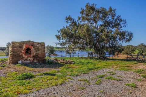 Farm hus i Ourique, Beja, Ourique - € 7.850.000 | Ref: CN10492 - foto 28