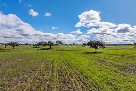 Farm hus i Ourique, Beja, Ourique - € 7.850.000 | Ref: CN10492 - foto 31
