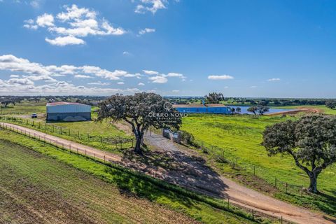 Farm hus i Ourique, Beja, Ourique - € 7.850.000 | Ref: CN10492 - foto 34