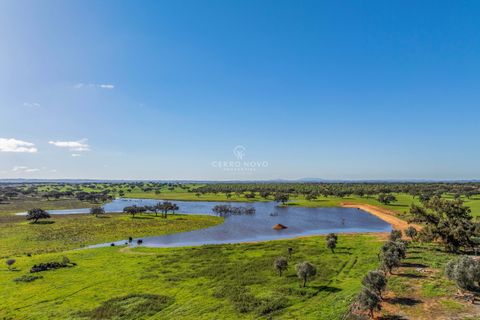Farm hus i Ourique, Beja, Ourique - € 7.850.000 | Ref: CN10492 - foto 35