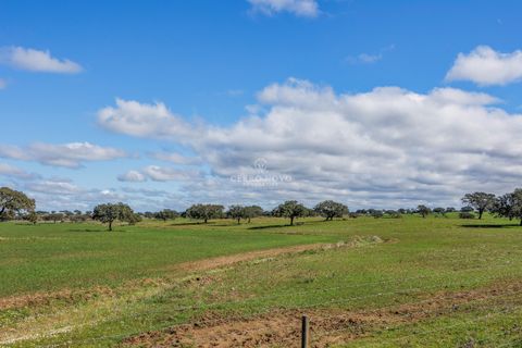 Farm hus i Ourique, Beja, Ourique - € 7.850.000 | Ref: CN10492 - foto 36