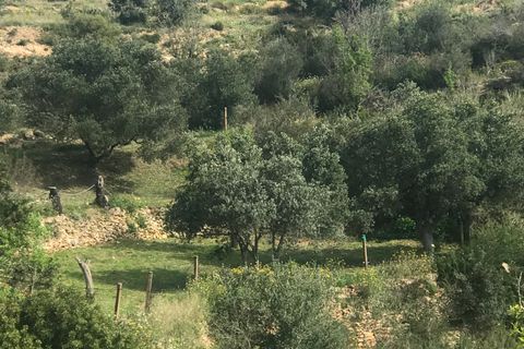 Finca i Miravet, Tarragona, Miravet - € 72.000 | Ref: Dai - foto 18