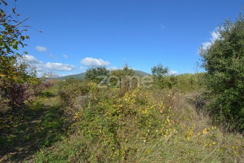Helårsgrund i Alenquer, Lisbon, Alenquer - € 25.000 | Ref: ZMPT575338 - foto 3