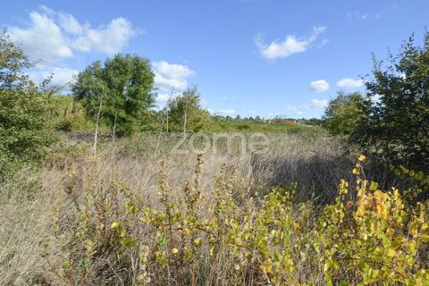 Helårsgrund i Alenquer, Lisbon, Alenquer - € 25.000 | Ref: ZMPT575338 - foto 6