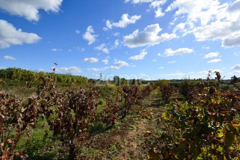 Helårsgrund i Alenquer, Lisbon, Alenquer - € 25.000 | Ref: ZMPT575338 - foto 9