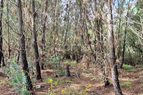 Helårsgrund i Alenquer, Lisbon, Alenquer - € 15.000 | Ref: ZMPT575340 - foto 1